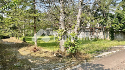 Tanah Dijual di Dramaga, Kab. Bogor, LT 7000m²