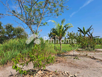 Tanah Dijual di Sijuk, Kab. Belitung, LT 18145m²