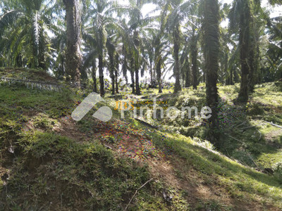 Tanah Komersial Dijual di Selesai, Kab. Langkat, LT 120000m²