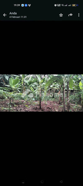Tanah Dijual di Karanglewas, Kab. Banyumas, LT 294m²