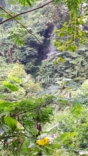 Tanah Komersial Dijual di Buleleng, Kab. Buleleng, LT 150000m²