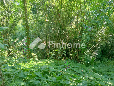 Tanah Komersial Dijual di Salemadeg Barat, Kab. Tabanan, LT 5200m²