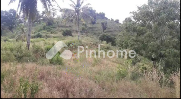 Tanah Komersial Dijual di Praya Barat, Kab. Lombok Tengah, LT 18775m² - 7