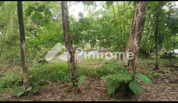 Tanah Dijual di Tomo, Kab. Sumedang, LT 6450m² - 5