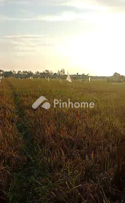 Tanah Komersial Dijual di Panggungrejo, Kota Pasuruan, LT 8600m² - 1