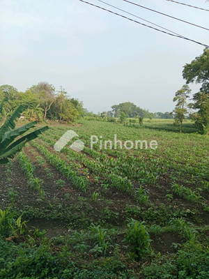 Tanah Komersial Dijual di Gurah, Kab. Kediri, LT 7240m² - 5