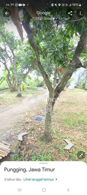 Tanah Komersial Dijual di Pungging, Kab. Mojokerto, LT 27000m² - 3