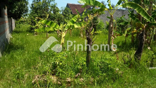 Tanah Dijual di Sukasada, Kab. Buleleng, LT 300m² - 2