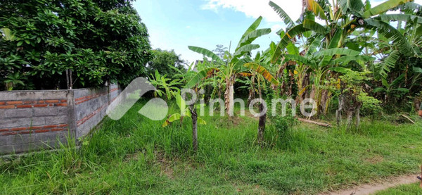 Tanah Dijual di Sukasada, Kab. Buleleng, LT 300m²