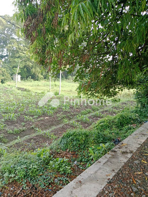 Tanah Komersial Dijual di Gurah, Kab. Kediri, LT 7240m² - 4