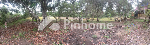 Tanah Dijual di Tanah Grogot, Kab. Paser, LT 4400m²