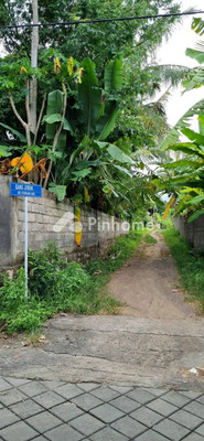 Tanah Dijual di Sukasada, Kab. Buleleng, LT 300m² - 5