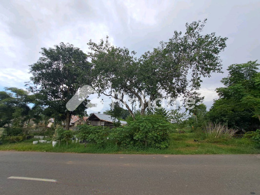 Tanah Dijual di Kuta Baro, Kab. Aceh Besar, LT 1300m² - 4
