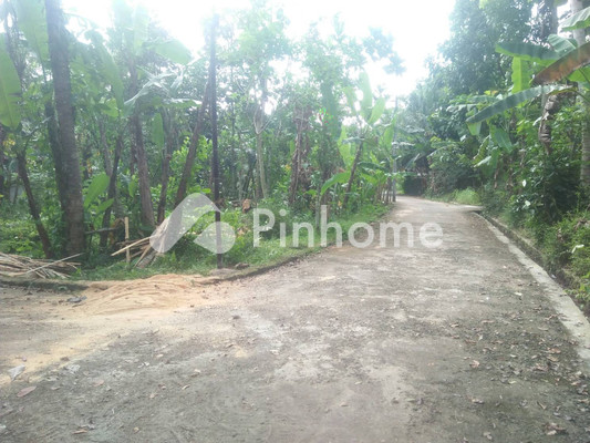 Tanah Dijual di Minggir, Kab. Sleman, LT 3500m² - 1