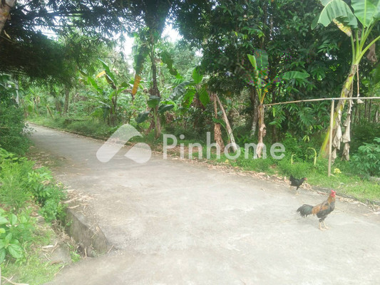 Tanah Dijual di Minggir, Kab. Sleman, LT 3500m² - 2