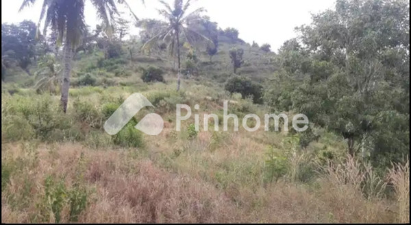 Tanah Komersial Dijual di Praya Barat, Kab. Lombok Tengah, LT 18775m² - 11