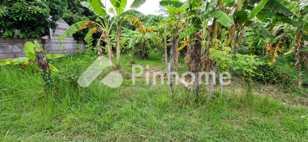 Tanah Dijual di Sukasada, Kab. Buleleng, LT 300m² - 1