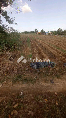 Tanah Dijual di Banjarbaru Utara (Banjar Baru Utara), Kota Banjarbaru, LT 200m² - 2