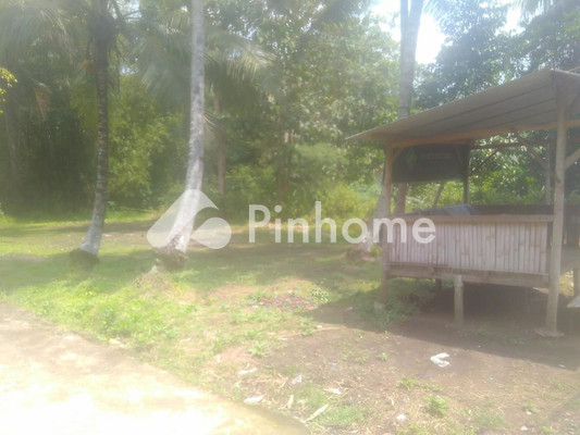 Tanah Dijual di Minggir, Kab. Sleman, LT 3500m² - 5