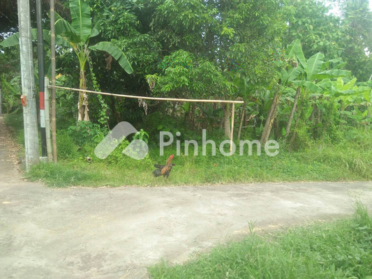 Tanah Dijual di Minggir, Kab. Sleman, LT 3500m² - 3