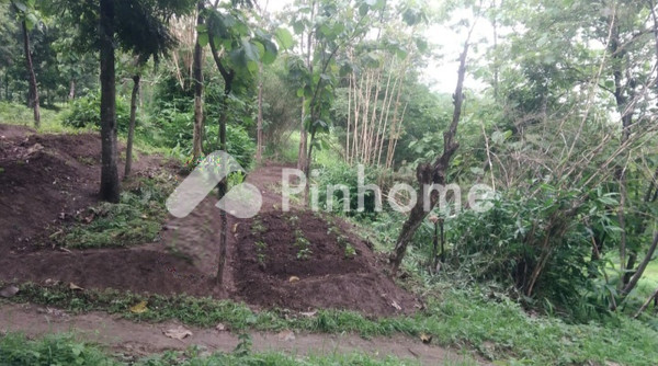 Tanah Dijual di Tomo, Kab. Sumedang, LT 6450m² - 2