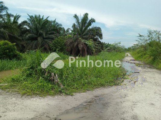 Tanah Dijual di Batang Gangsal (Batang Gansal), Kab. Indragiri Hulu, LT 20000m² - 1