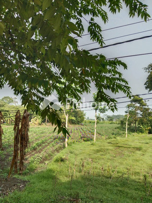 Tanah Komersial Dijual di Gurah, Kab. Kediri, LT 7240m²