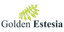 Developer - by PT Golden Estesia KSO