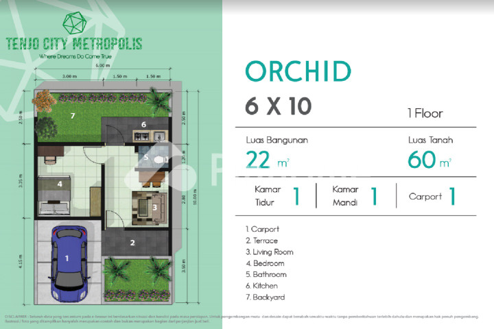 orchid - 3