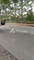 Dijual Tanah Komersial Murah 50 Persen Njop Area Bisnis Cengkareng Jakbar di Jl. Kamal Raya Outer Ring Road - Thumbnail 11