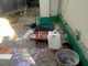 Dijual Rumah Lantai 2 Kupang di Jalan Fetor Funai - Thumbnail 23